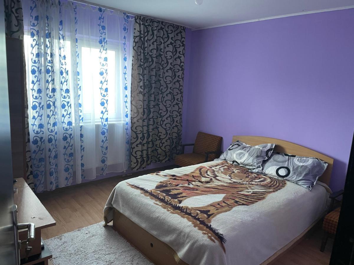 Sofia Rezidence Apartment Dragasani Bagian luar foto