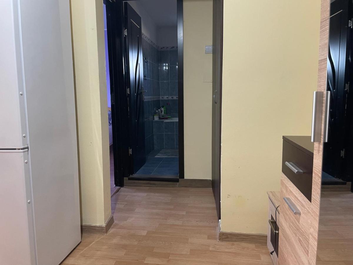 Sofia Rezidence Apartment Dragasani Bagian luar foto