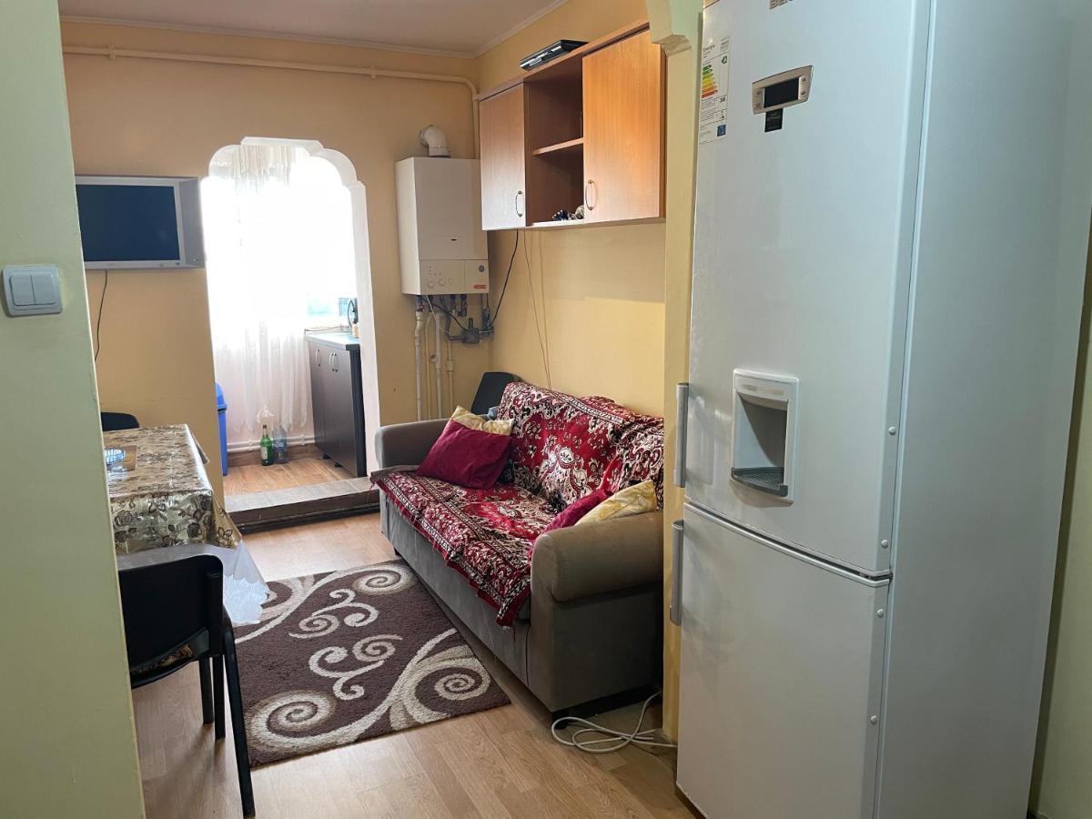 Sofia Rezidence Apartment Dragasani Bagian luar foto